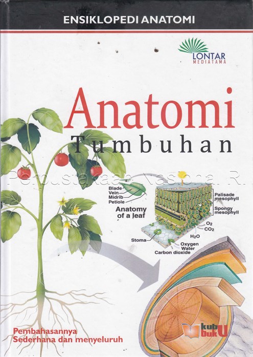 Ensiklopedi IPA :  Mengenal Anatomi Tumbuhan