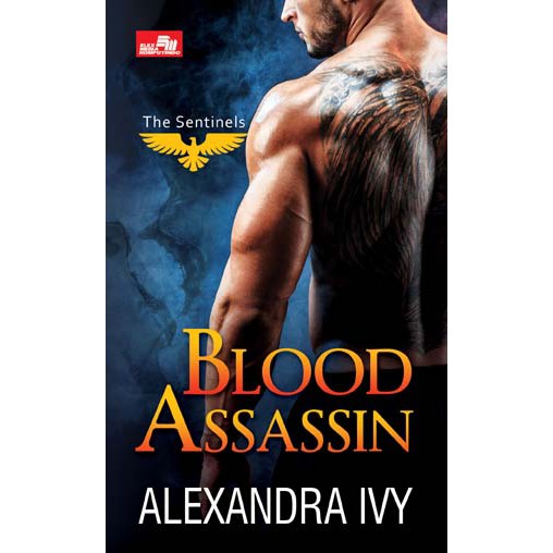 Blood assassin :  the sentinels