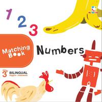 Matching Book. :  Numbers