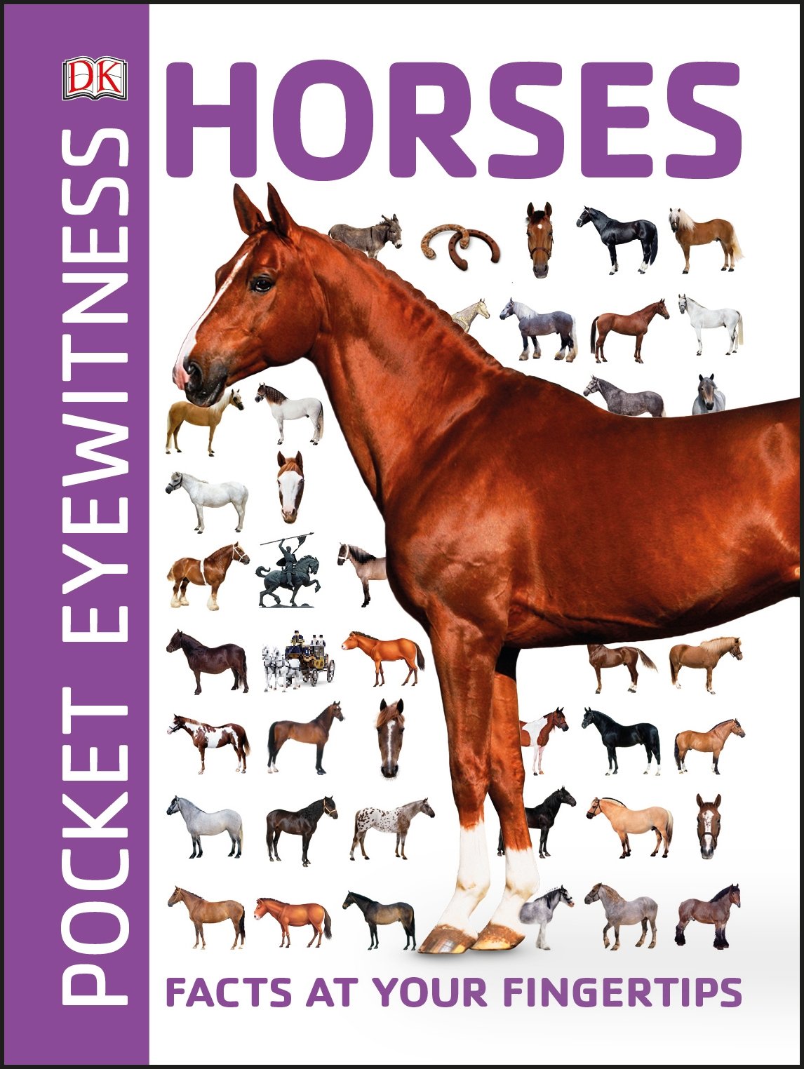 Pocket Eyewitness Horses :  Fact at Your Fingertips ;