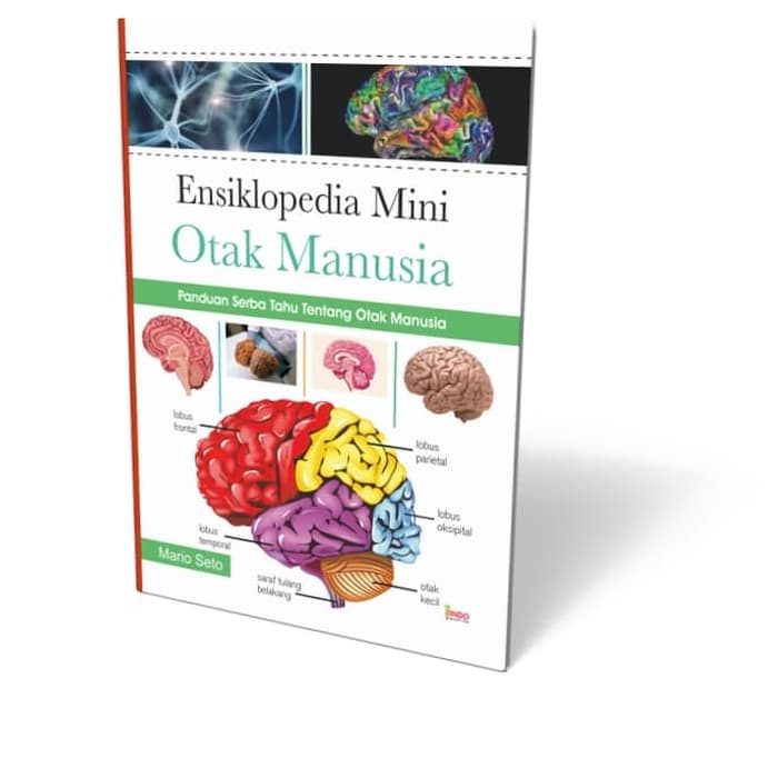Ensiklopedia mini otak manusia :  panduan serba tahu tentang otak manusia