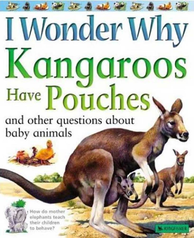 I Wonder Why :  Kangaroos Have Pouches and Other Questions About Baby Animals