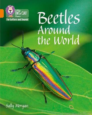 Beetles Around The World
