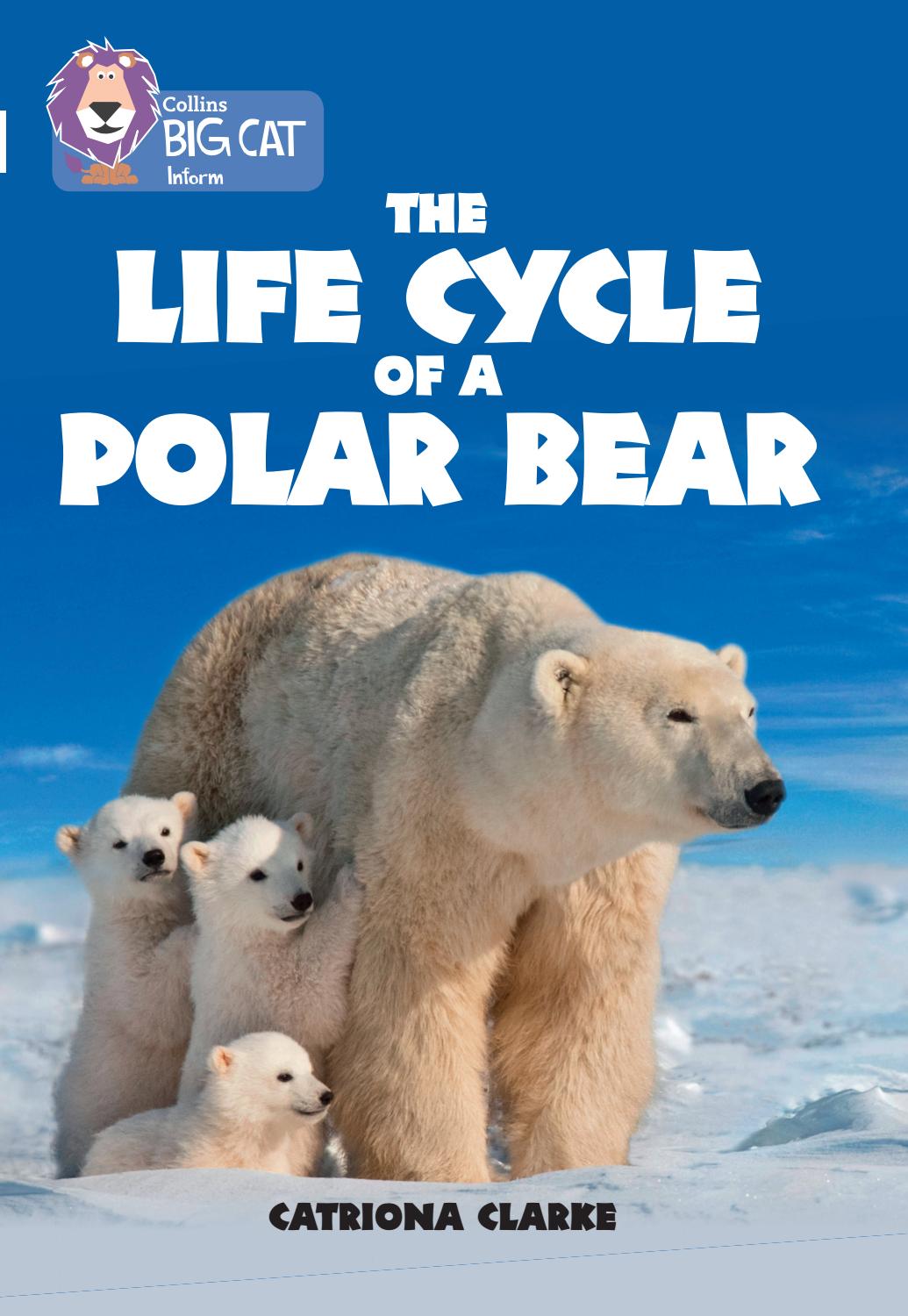 The Life Cycle Of A Polar Bear