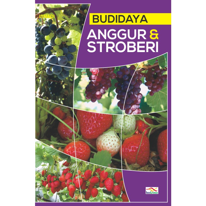 Budidaya Anggur & Stroberi