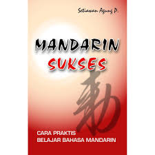 Mandarin sukses :  cara praktis belajar bahasa mandarin