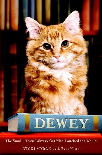 Dewey :  Kucing Perpustakaan Kota Kecil yang Bikin Dunia Jatuh Hati