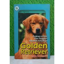 Golden Retriever :  anjing cerdas nan anggun sahabat keluarga