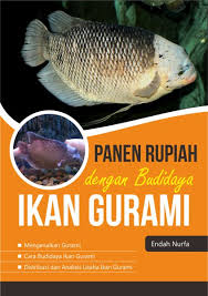 Panen Rupiah dengan Budidaya Ikan Gurami