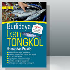 Budidaya Ikan Tongkol Hemat dan Praktis