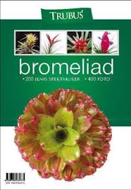 Bromeliad :  200 jenis spektakuler, 400 foto