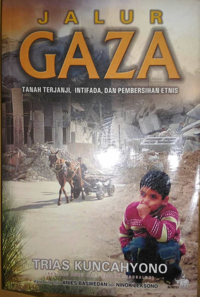 Jalur Gaza :  Tanah Terjanji, Intifada dan Pembersihan Etnis
