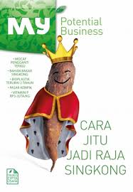 Cara Jitu jadi Raja Singkong :  my potential business