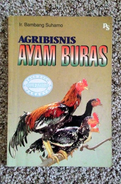 Agribisnis Ayam Buras