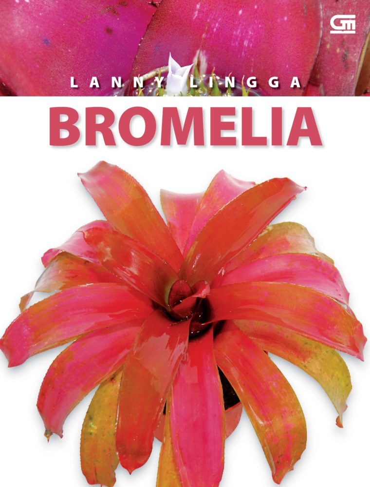 Bromelia