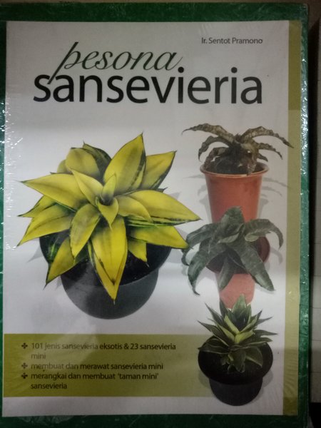 Pesona Sansevieria