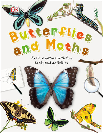 Butterflies and moths :  explore nature with fun and activities