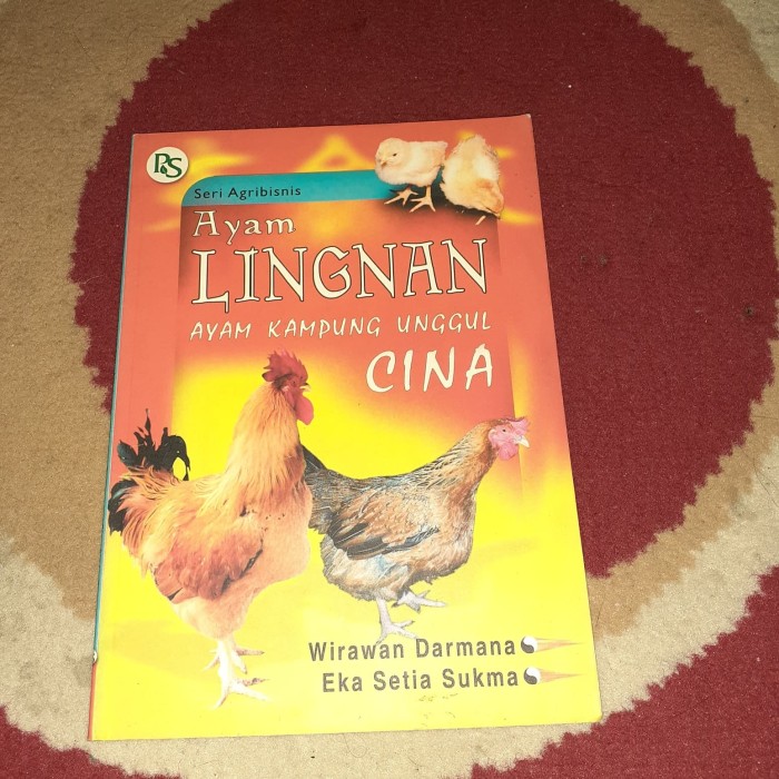 Ayam Linghan :  Ayam Kampung Unggul Cina
