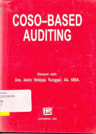Coso-Based Auditing