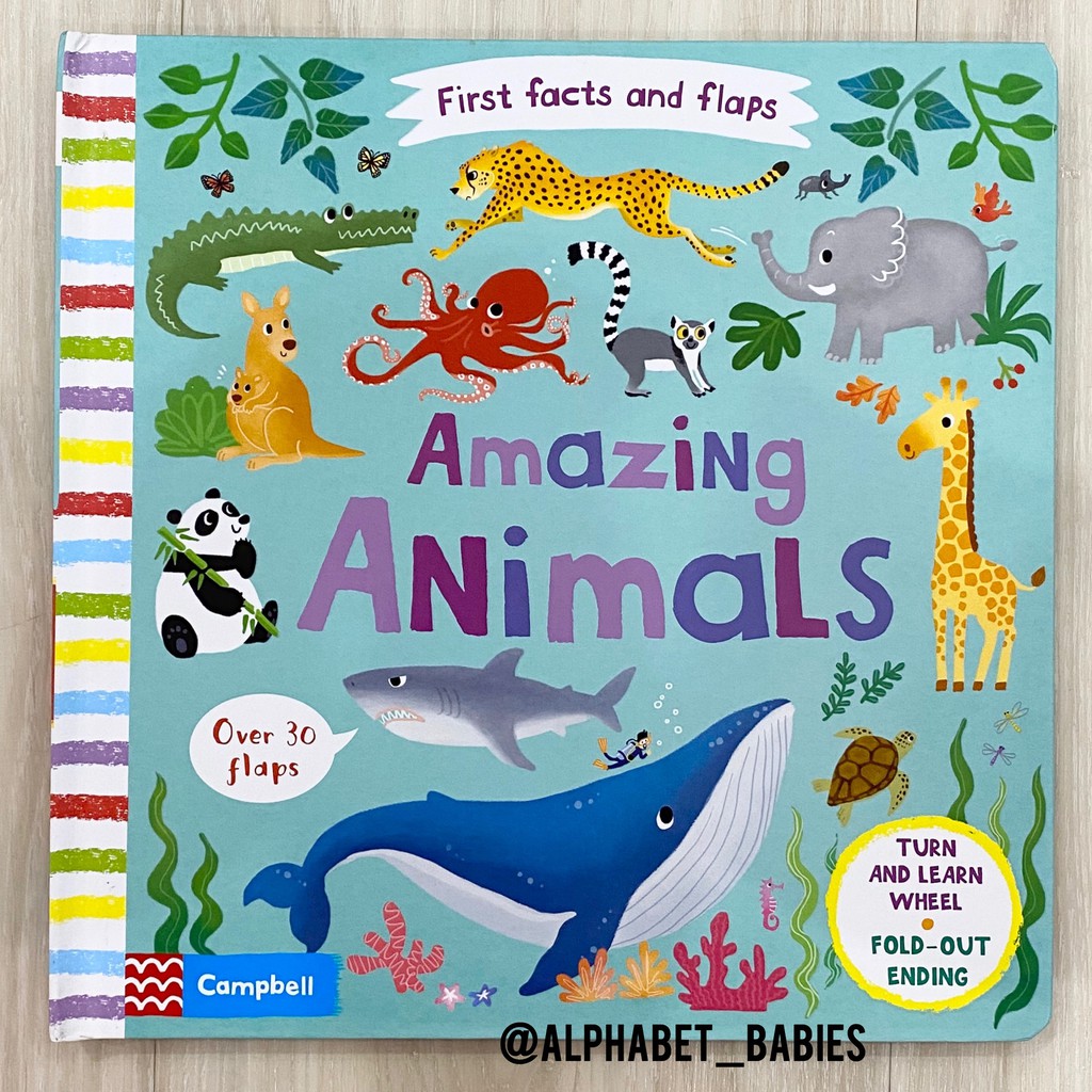 First facts and flaps - amazing animal