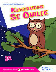 Kehidupan si Owlie (burung hantu)