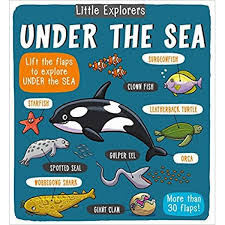 Little explorers : under the sea