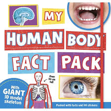 My Human Body :  Fact Pack