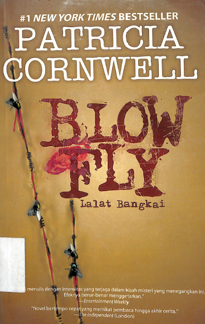 Blow fly = lalat bangkai