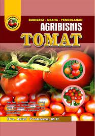 Agribisnis tomat