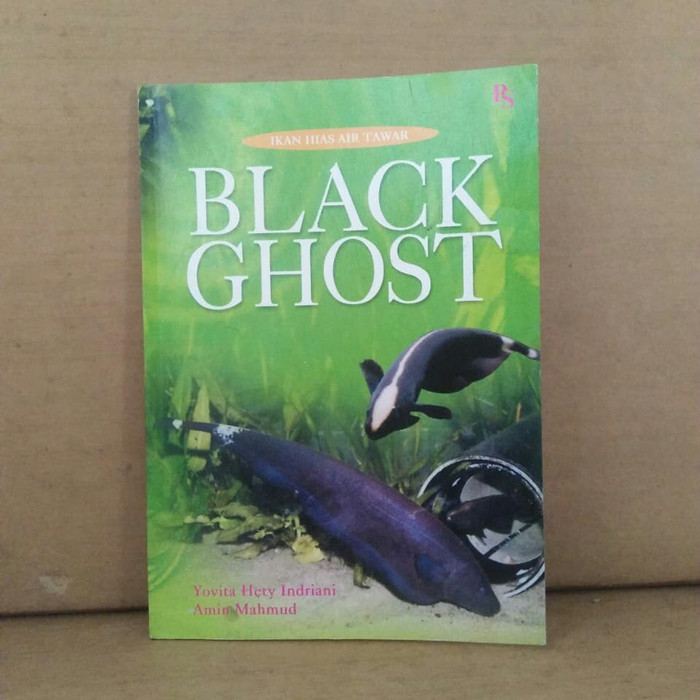 Ikan Hias Air Tawar: Black Ghost
