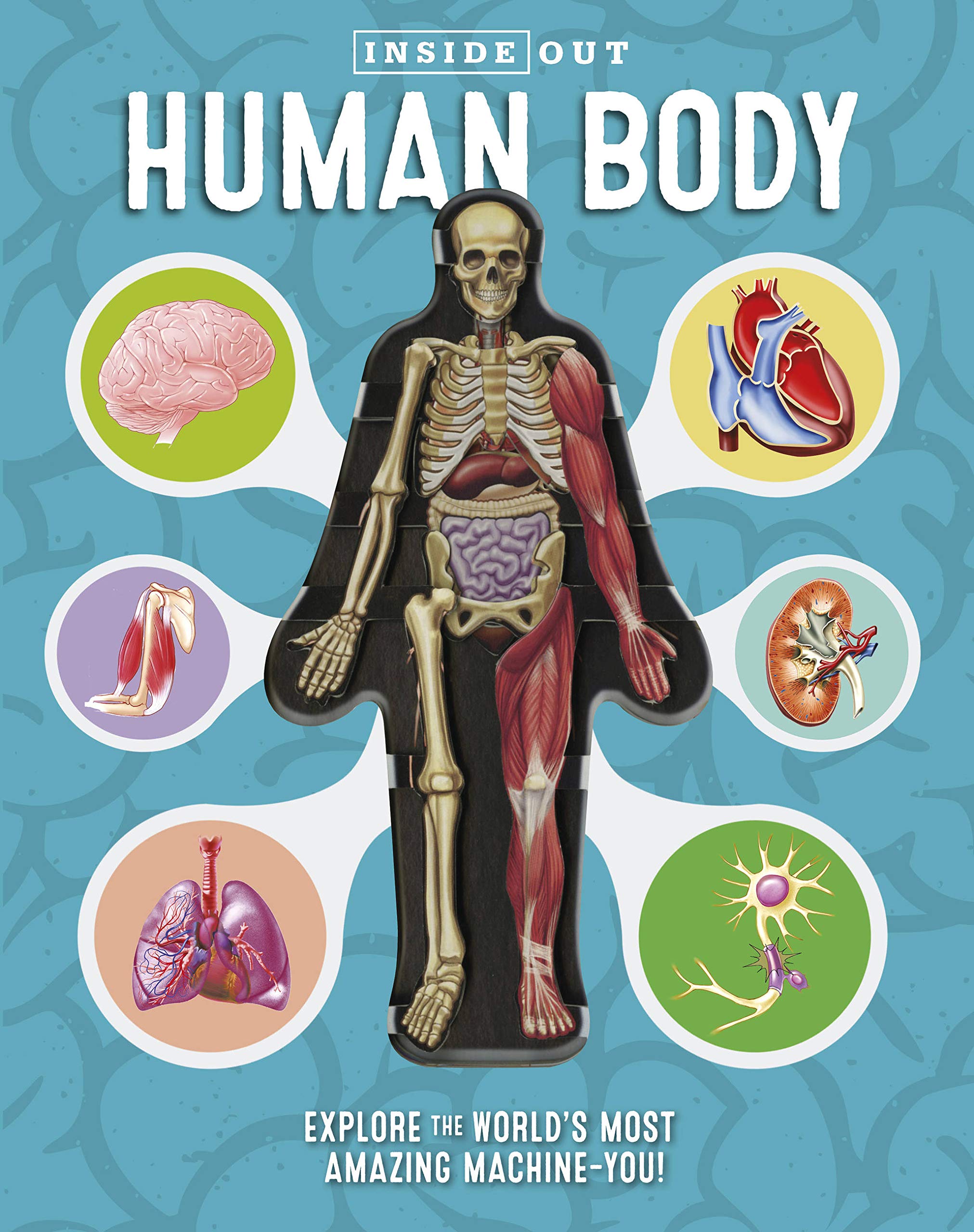Inside Out Human Body :  explore the world's most amazaing machine - you!