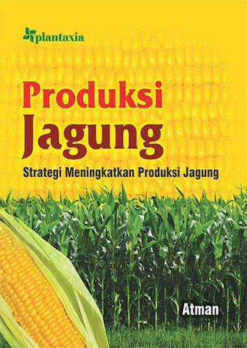 Produksi Jagung :  Strategi Meningkatkan Produksi Jagung