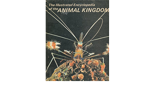 The illustrated encyclopedia of the animal  kingdom volume 13 :  Arthropods