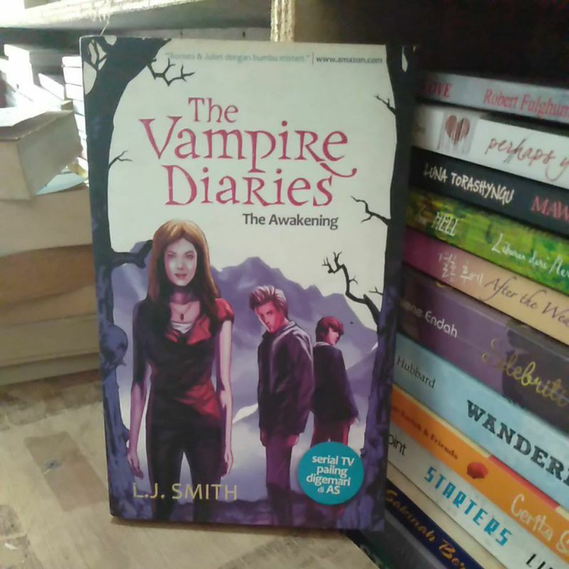 The vampire diaries :  dark reunion