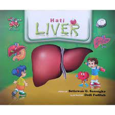 Hati liver :  Seri Organ Tubuh
