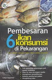 Pembesaran 6 Ikan Kosumsi di Pekarangan :  Lele, Belut, Gurami, Patin, Nila, Lobster Air Tawar