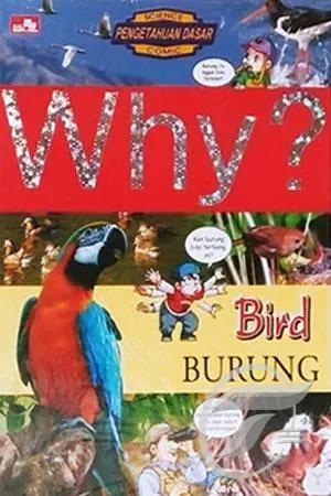 Why? bird - burung