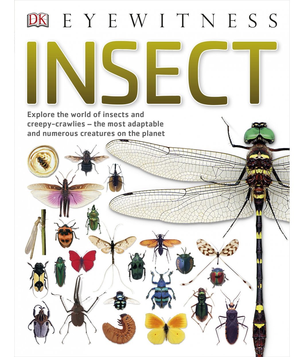 Eyewitness Insect : Explore The World Of Insects And Creepy-crawlies - The Most Adaptable And Numerous Creatures On The Planet