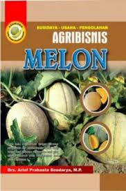 Agribisnis Melon