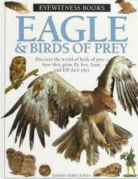 Eyewitness eagle and birds of prey