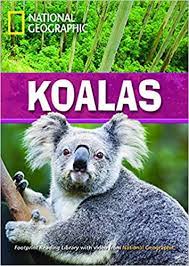 National geographic koalas