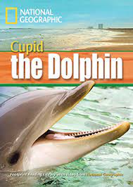 National geographic :  cupid the dolphin