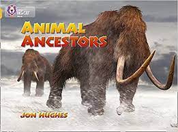 Animal ancestors