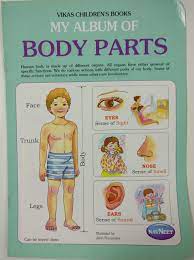 Vikas Children's Books :  My Album of Body Parts