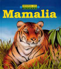 Mengenal ilmu binatang mamalia