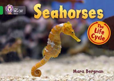 Seahorses :  The life cycle
