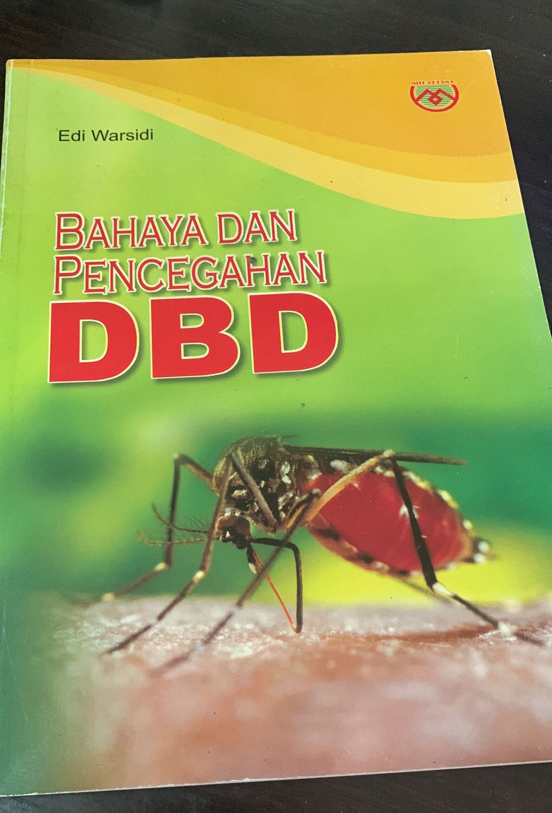 Bahaya dan pencegahan DBD