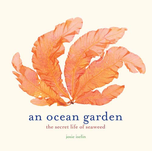 An Ocean Garden : The Secret Life Of Seaweed