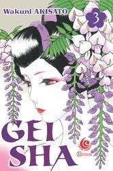 Geisha :  If We Could Meet at The Ozashiki Vol.3