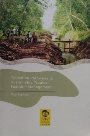 Transition pathways to sustainable tropical peatland management